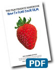 filmfinance cover pdf
